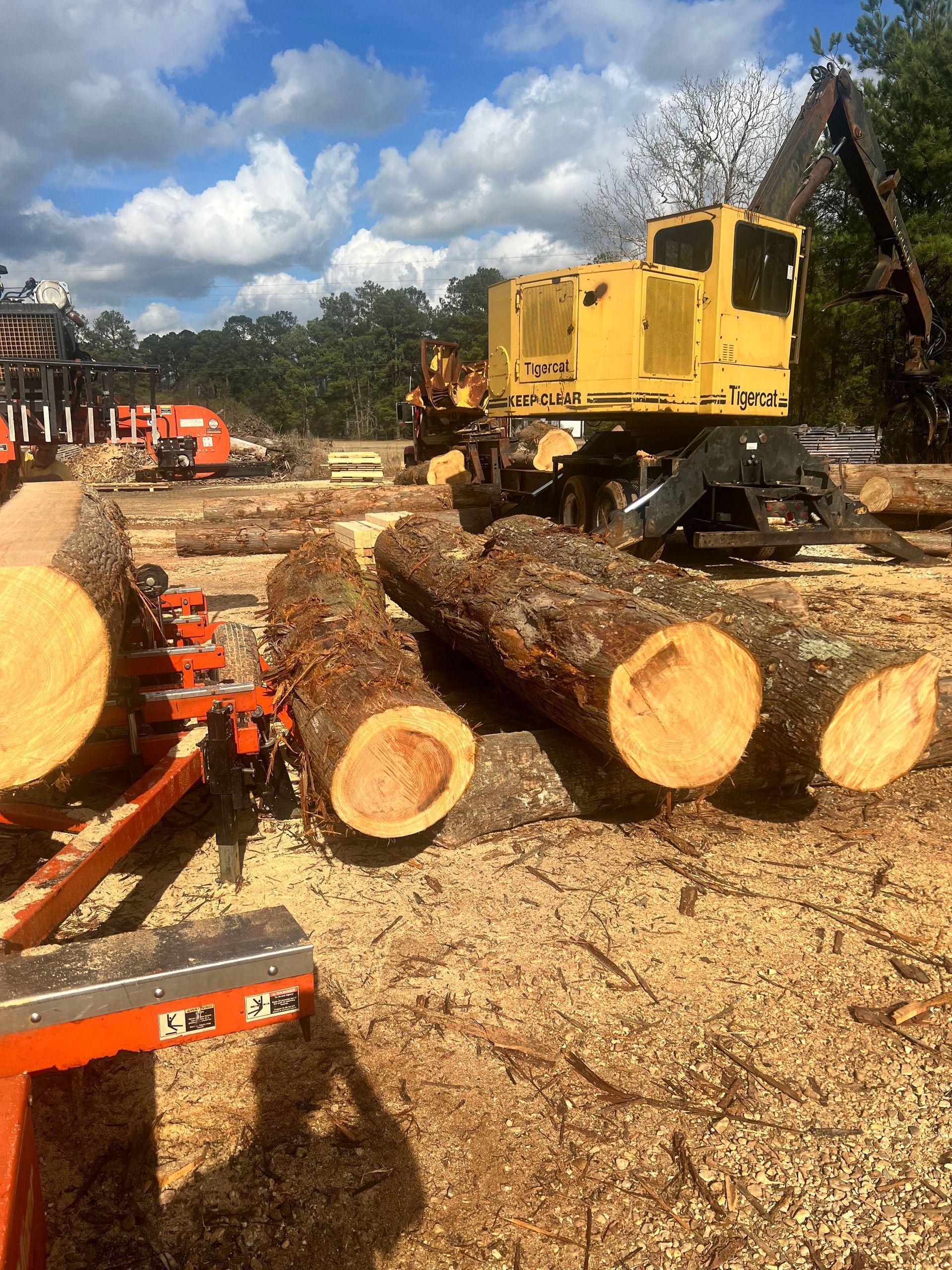 Logs near sawmill equipment; a yellow machine. Logs on the ground, wood shavings. Cloudy sky in the background.