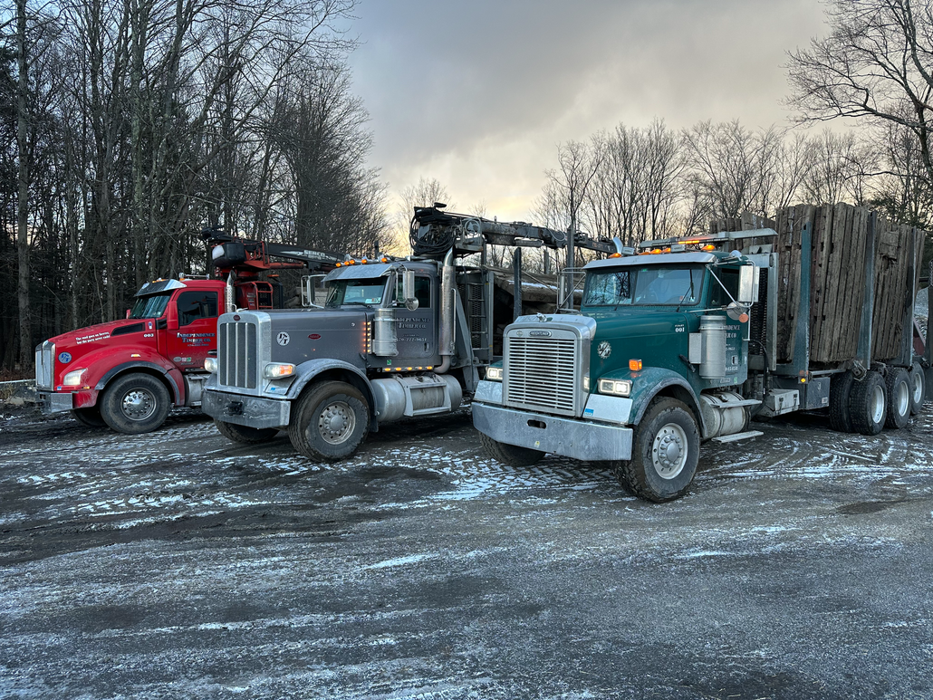 Three logging trucks parked on a snowy dirt lot by leafless trees.