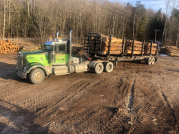 Green logging truck loaded with cut timber driving on a muddy dirt road by a wooded area