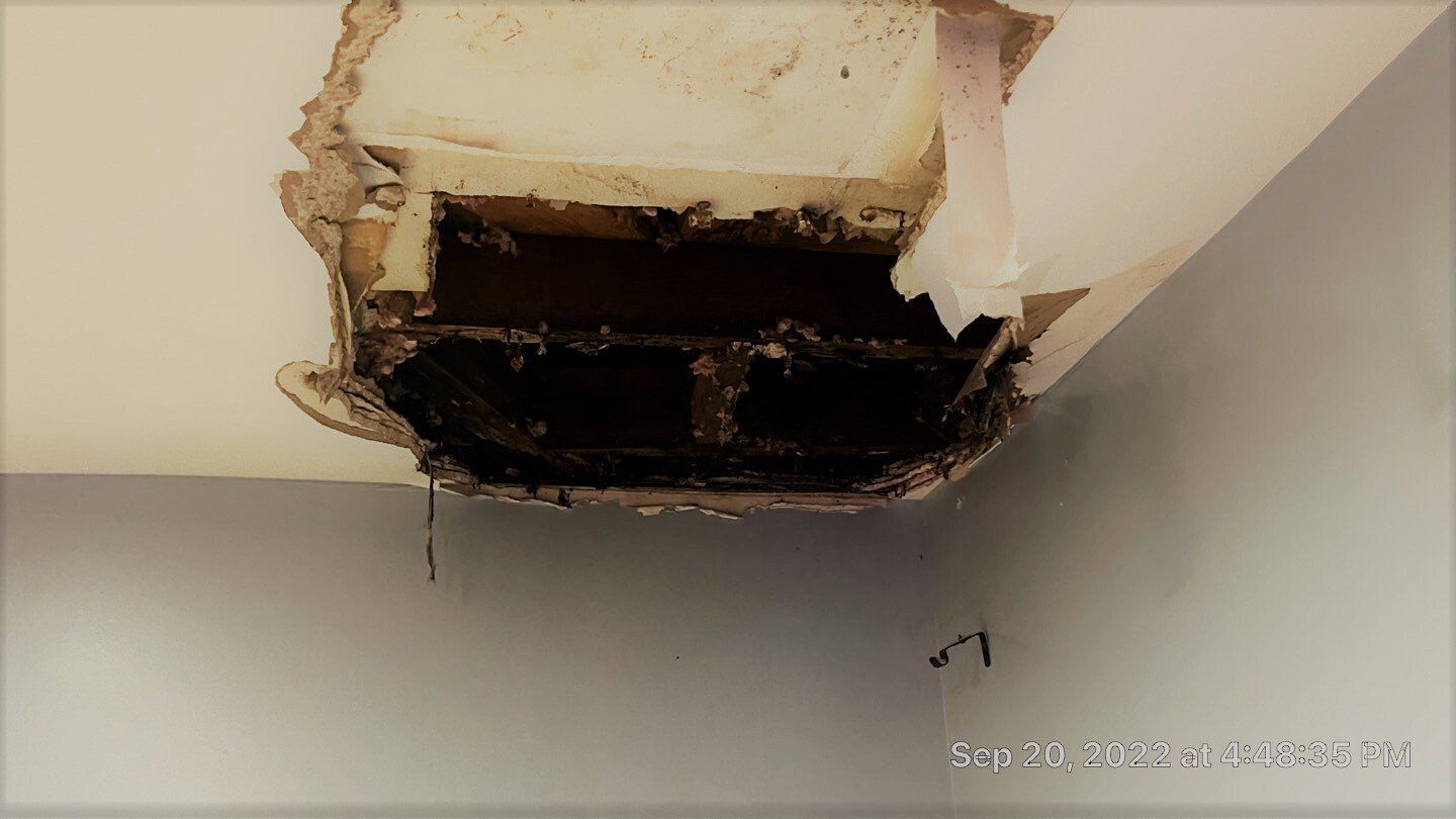 Water damaged ceiling