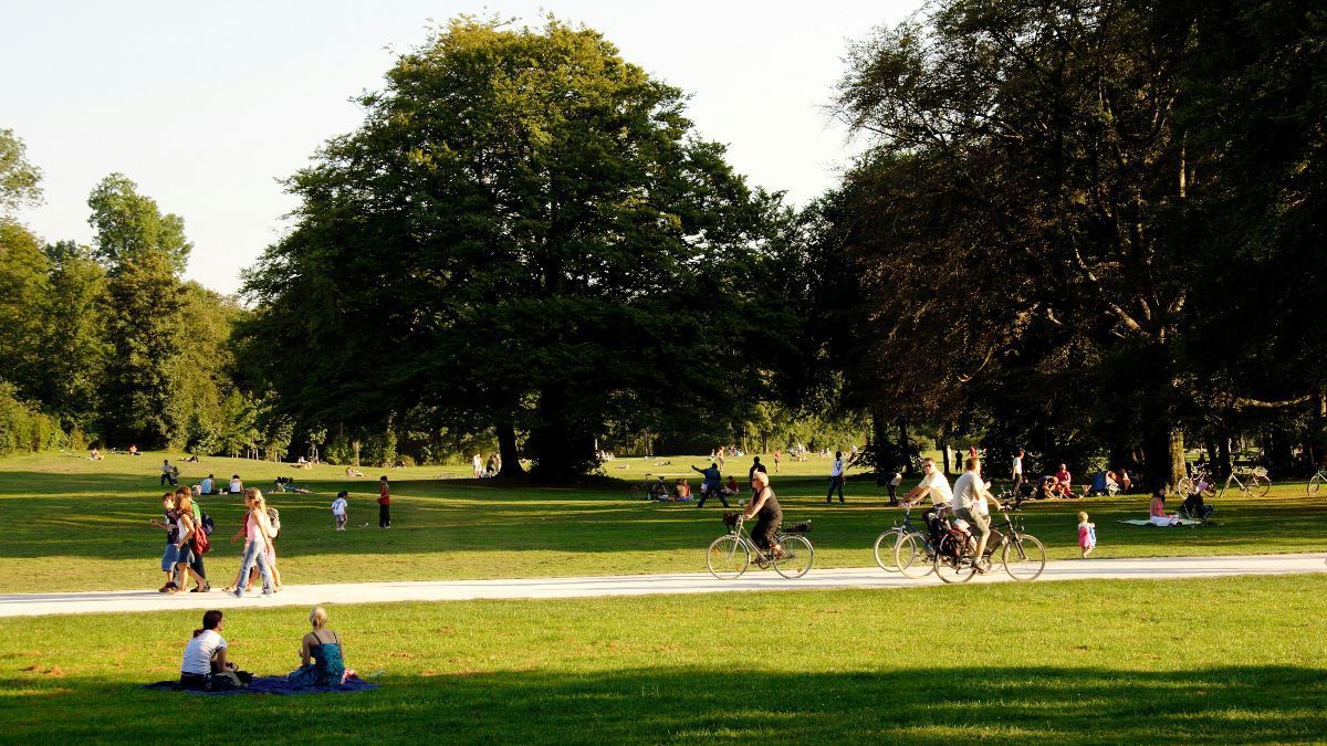 Exploring the Green Spaces of Elsmere: Parks and Outdoor Fun