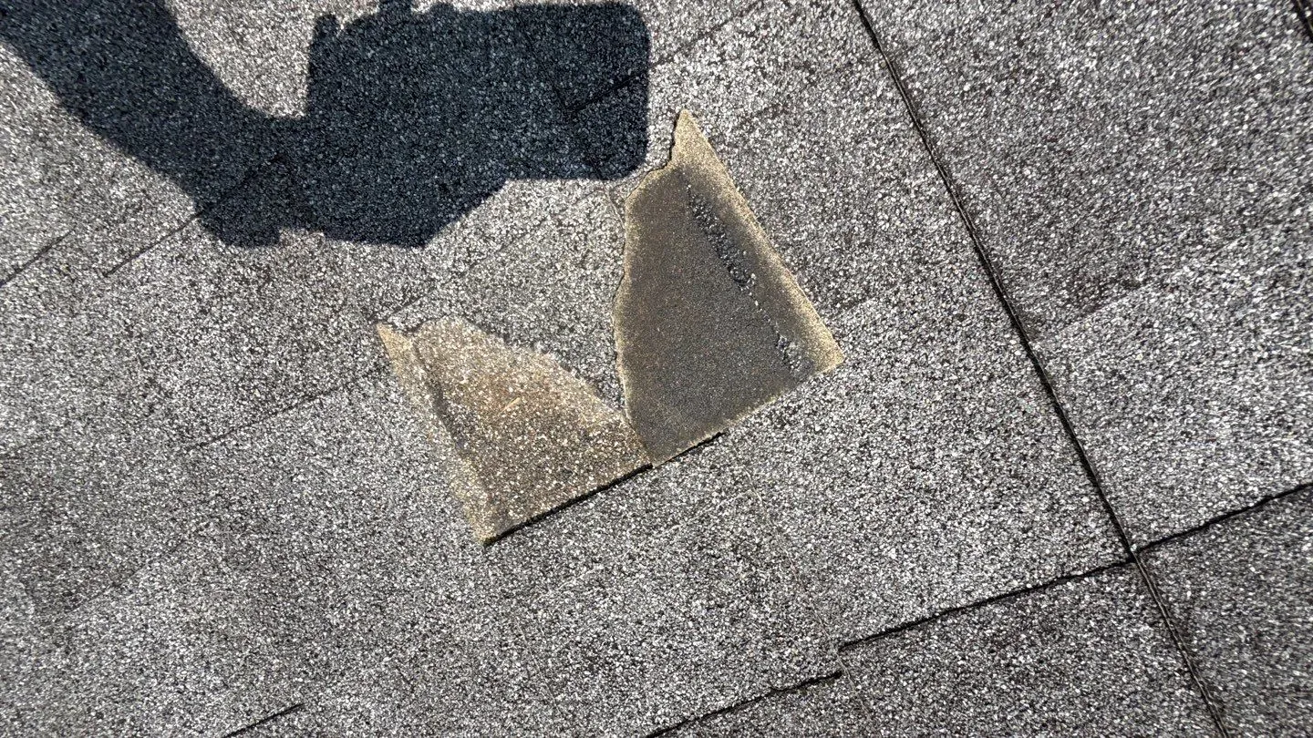 Worn asphalt shingle with a missing tab on the aging roof
