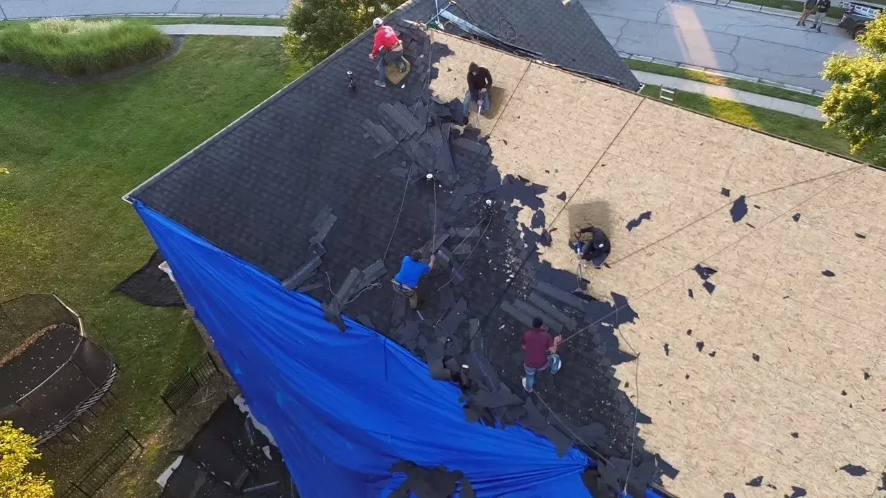 Crew tearing off old shingles with a tarp protecting the landscaping below