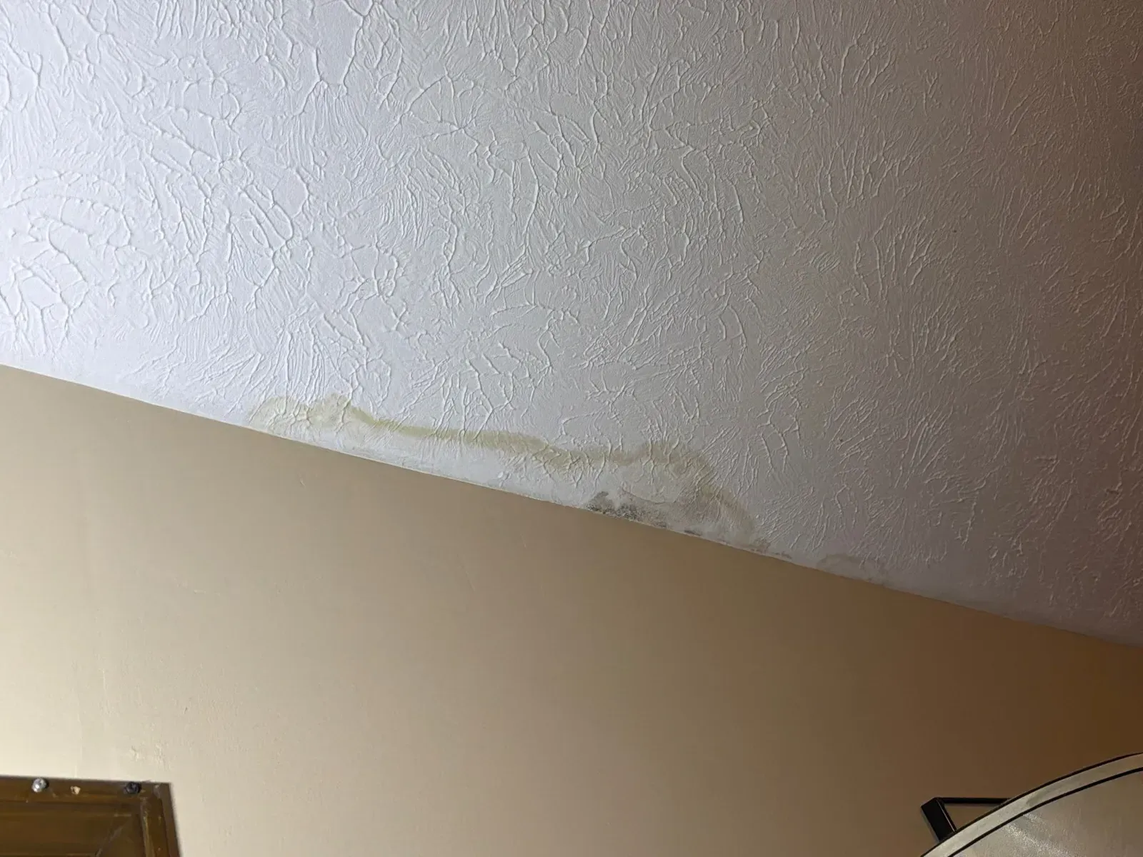 Water-stained ceiling drywall inside a Florence, KY home from a roof leak