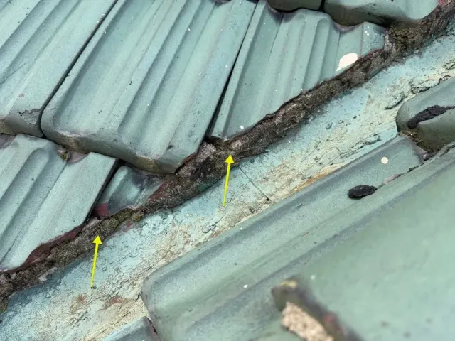 Clay tile detail from a Paddock Hills, Cincinnati roof assessment