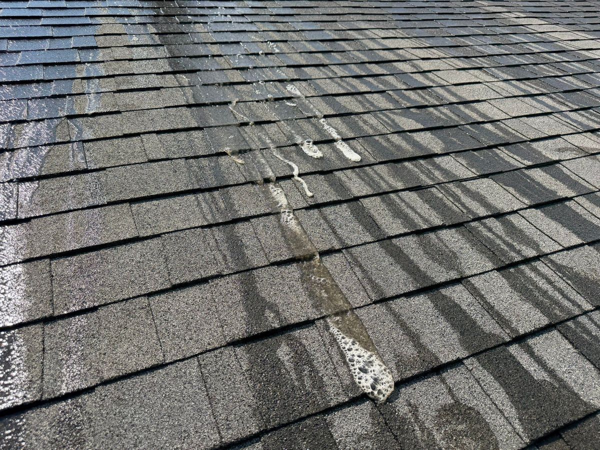 Soft wash solution breaking down algae streaks on shingles