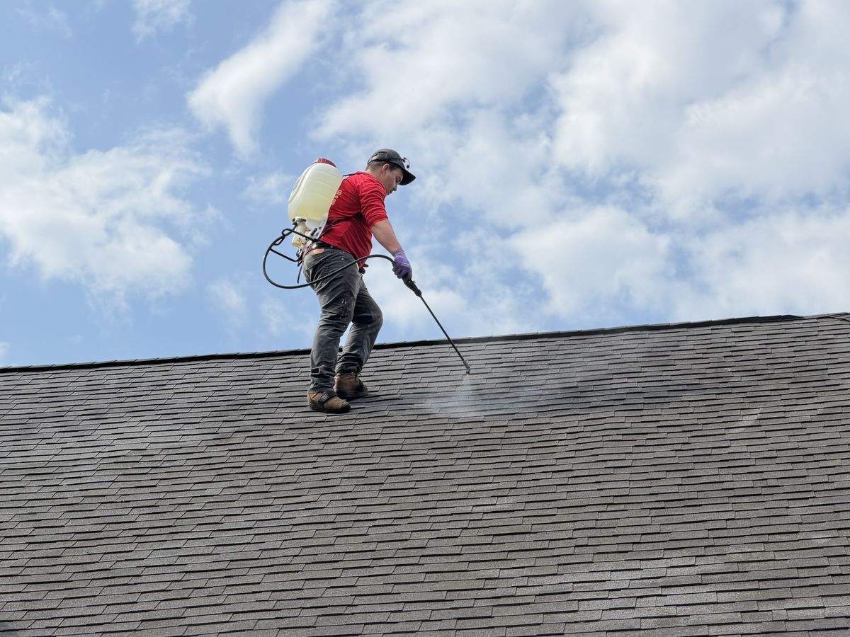 Technician applying soft wash solution with a backpack sprayer
