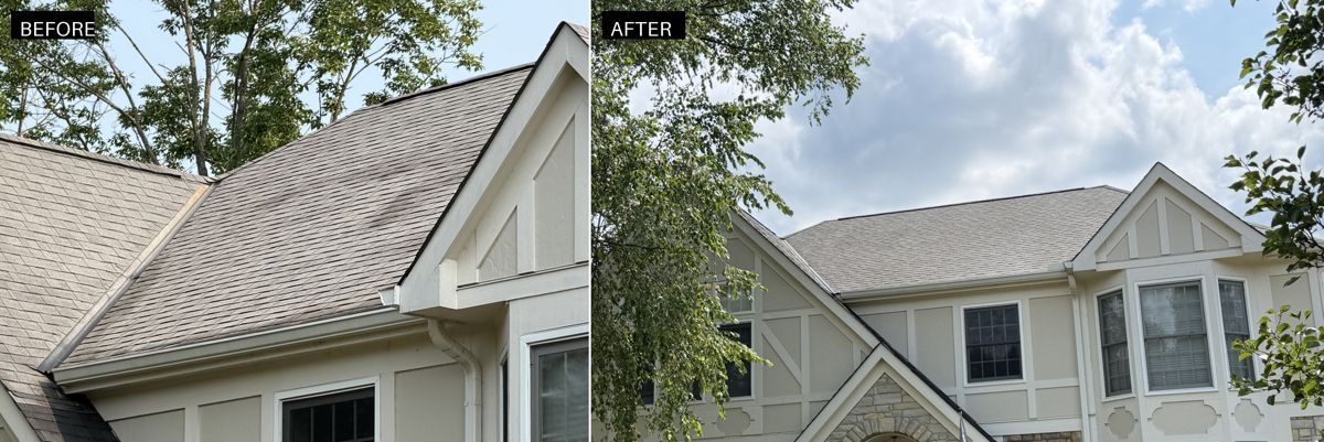 Roof soft washing before and after on an asphalt shingle roof in Northern Kentucky