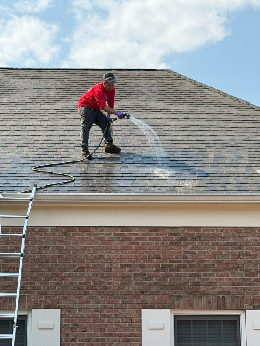 Technician rinsing a shingle roof with a low-pressure hose