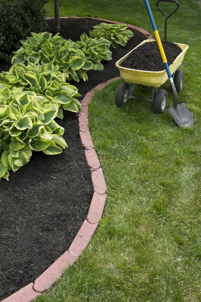 Garden Bed With Plants, Brick Border, Dark Mulch, Wheelbarrow With Soil, and Shovel — The Soil Yard in Delacombe, VIC