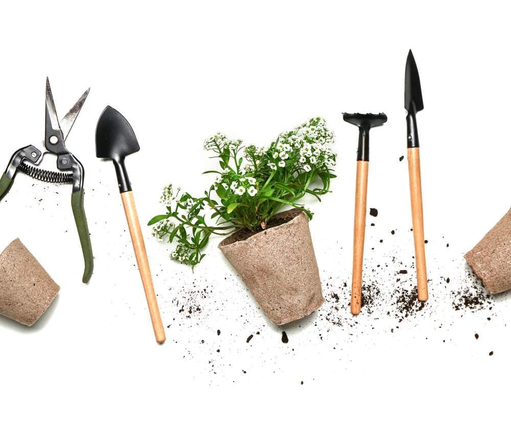 Gardening Tools and Potted Plant on a White Surface — The Soil Yard in Delacombe, VIC