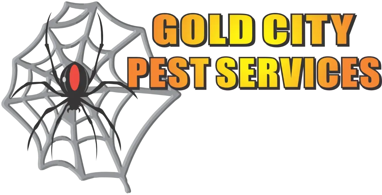 Gold City Pest Services logo with a spider on a web and bold orange text