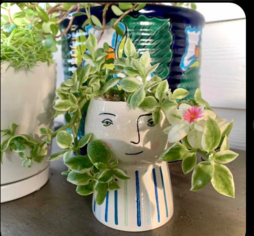 A small, smiling face-shaped planter overflowing with green and white variegated leaves and a small pink flower.