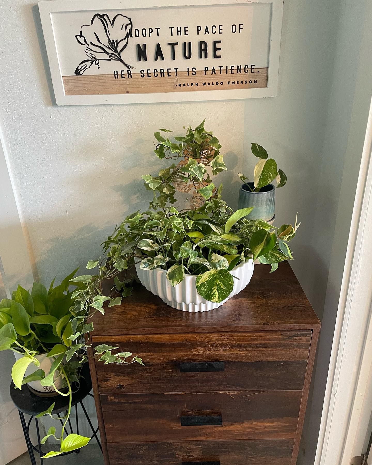 Indoor plants on a wooden cabinet; inspirational sign above.