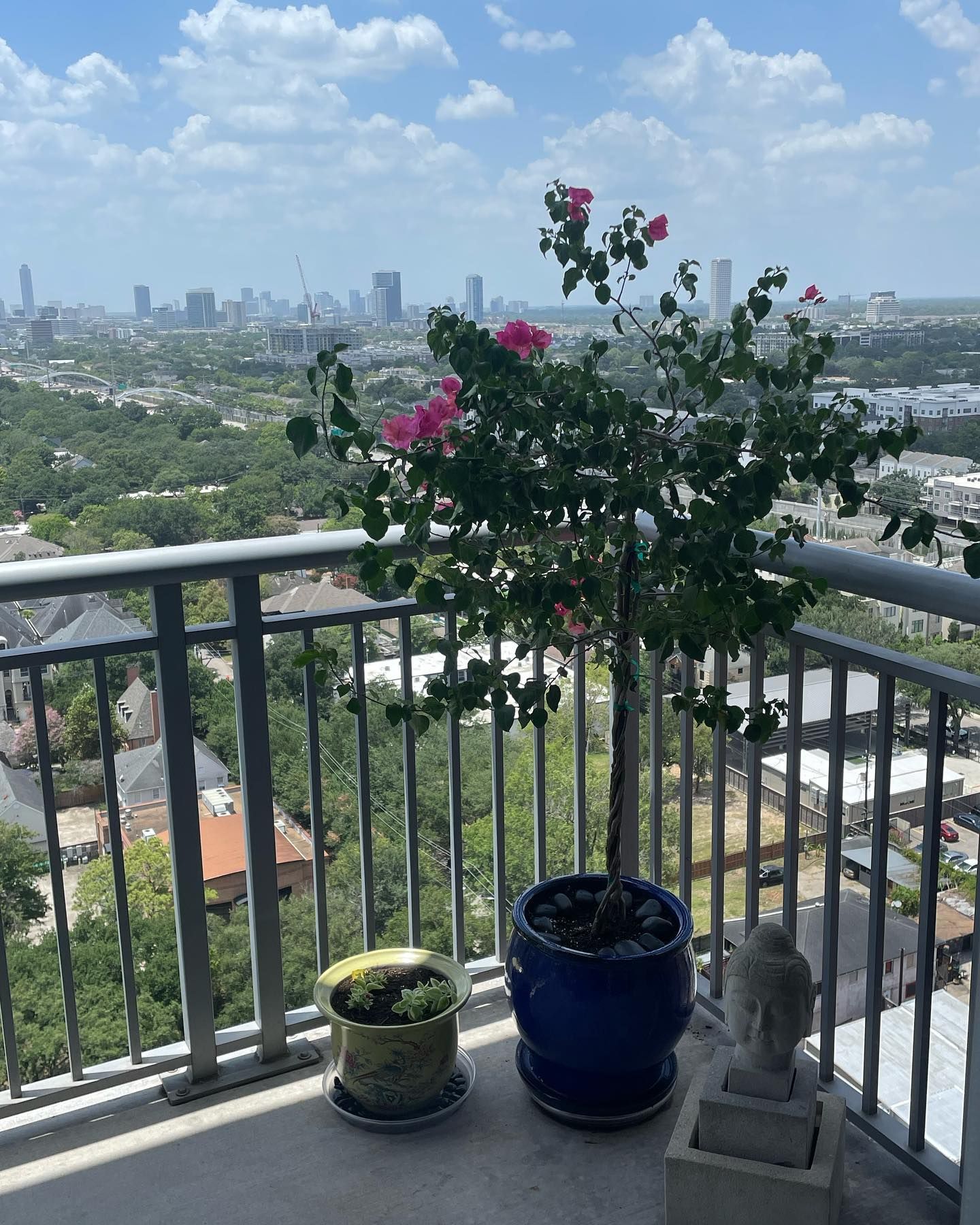 Balcony with potted bougainvillea and city skyline backdrop.