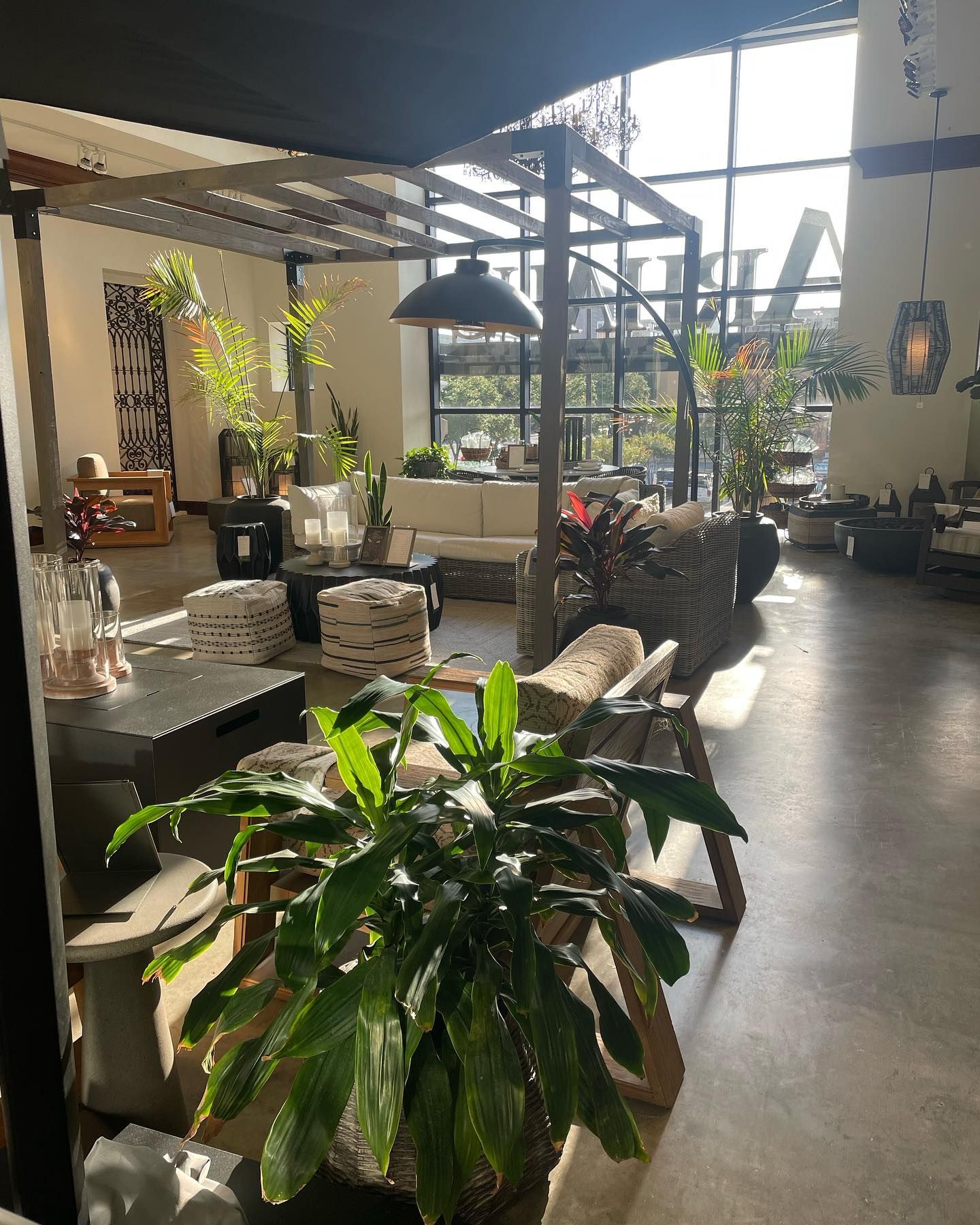 Interior showroom with outdoor furniture display, natural light, and plants.