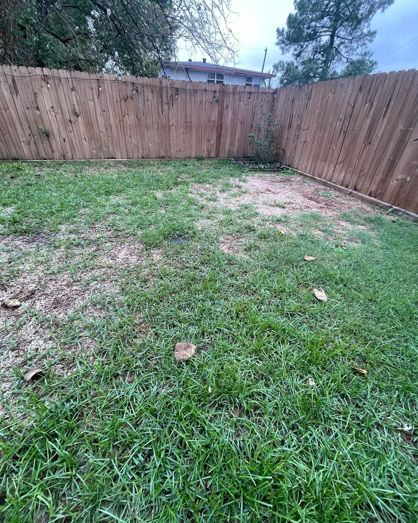 A small backyard with a wooden fence. Patchy grass and dirt cover the ground.