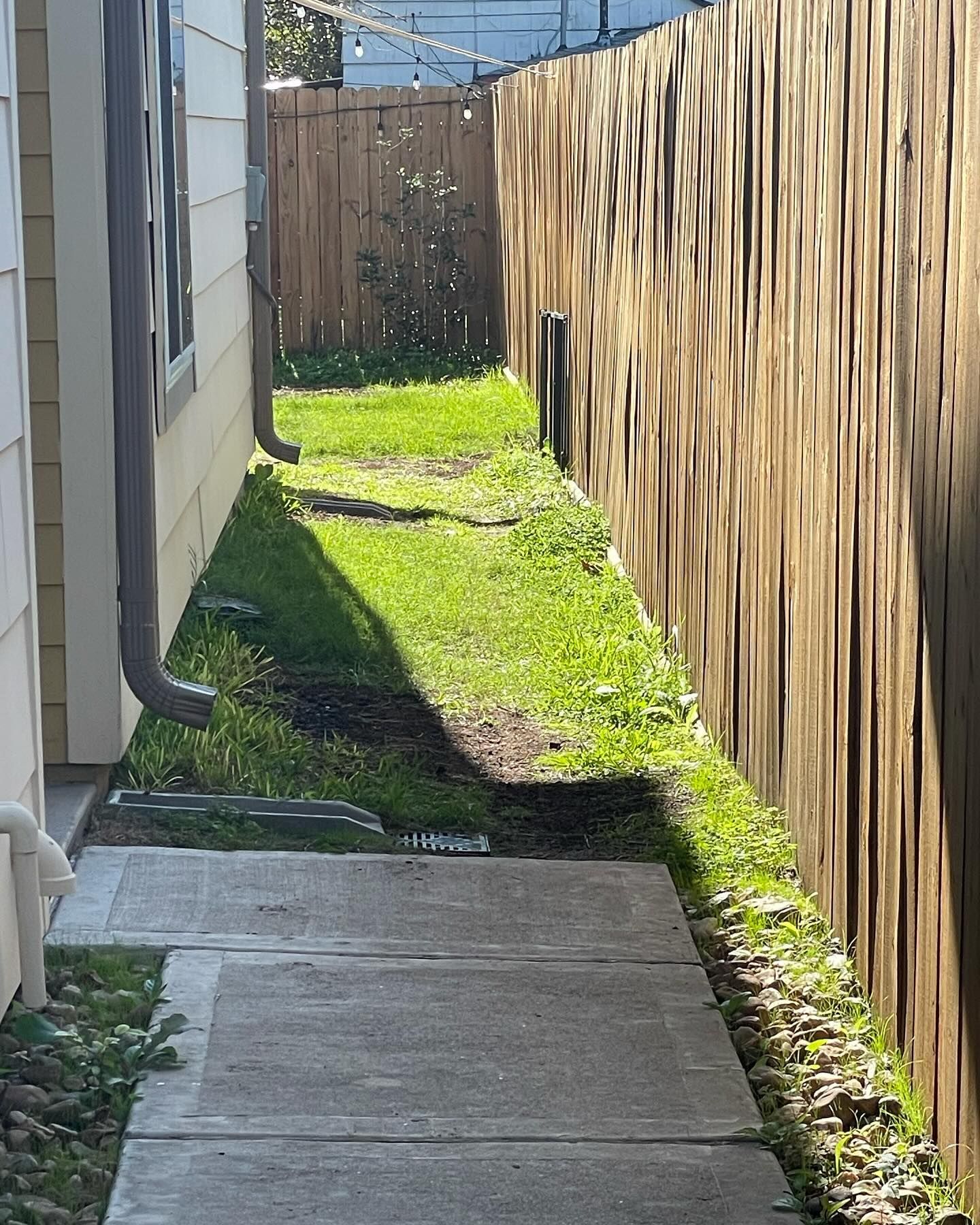 A narrow pathway between a building and a wooden fence, with patches of grass and sunlight.