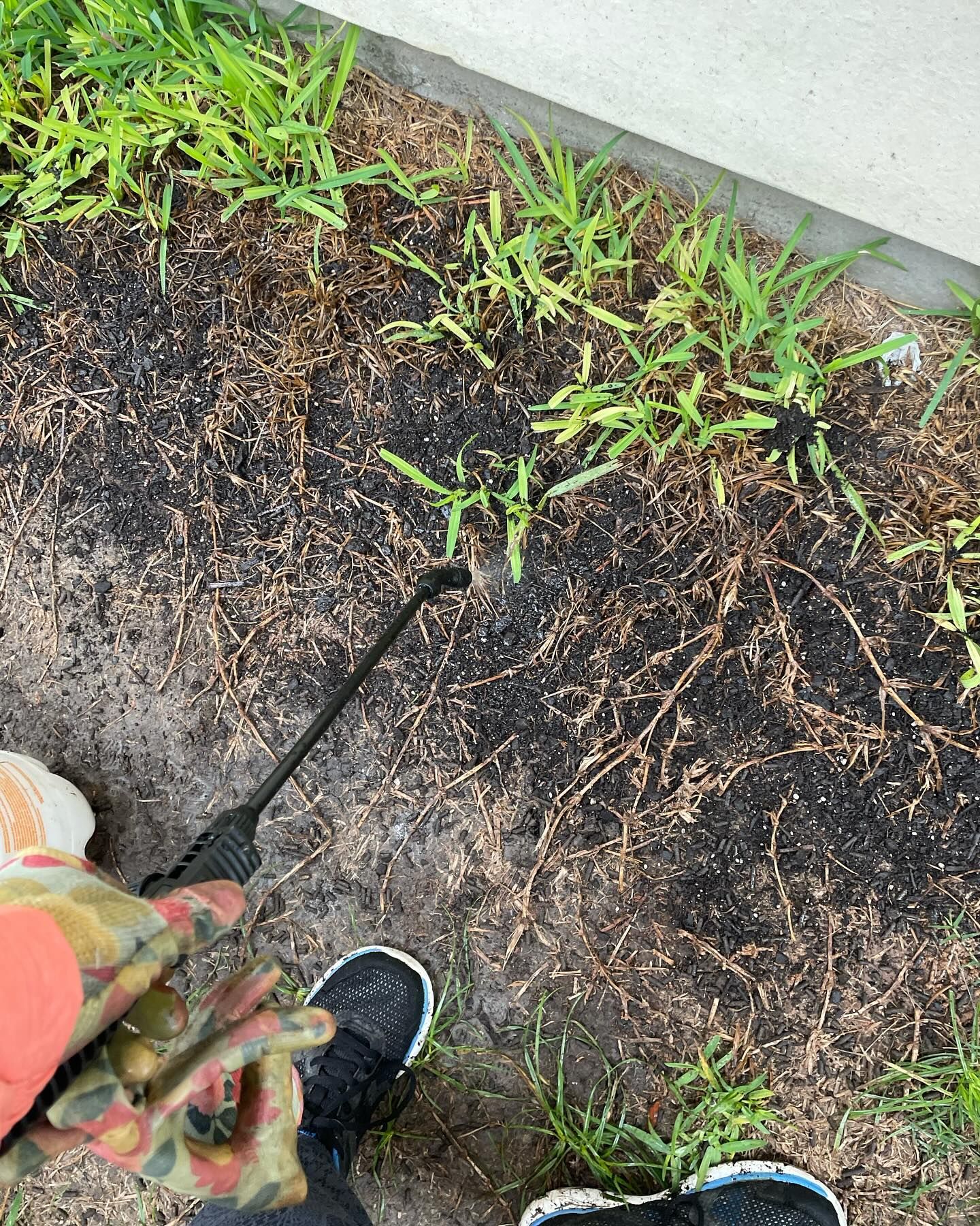Person spraying herbicide on weeds near a concrete edge.