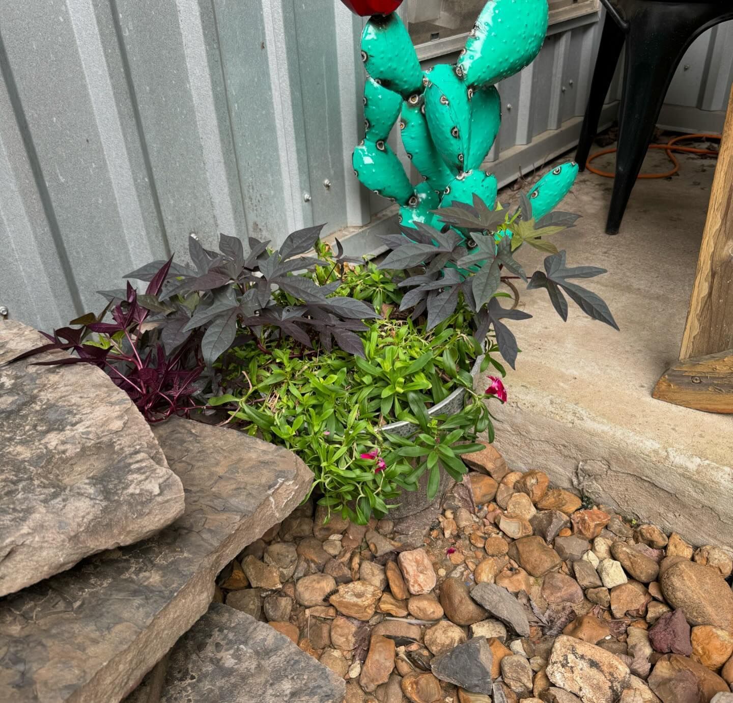 A garden bed with green and dark purple plants, decorative stones, and a metal cactus.