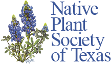 Logo for Native Plant Society of Texas with bluebonnet illustration.
