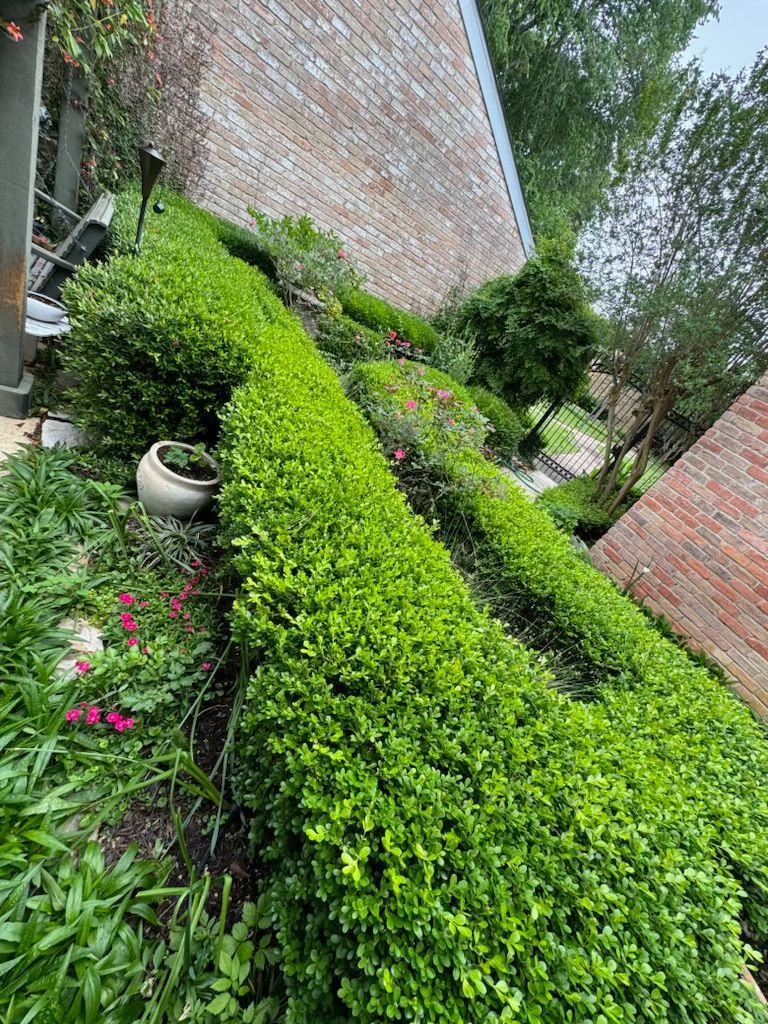 Green hedge rows cascading down a brick wall with other greenery and a white planter.