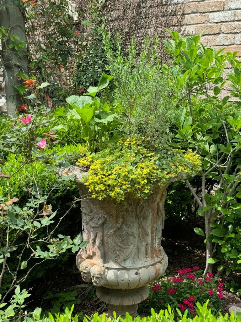Stone urn overflowing with green and yellow plants, surrounded by other greenery and flowers.