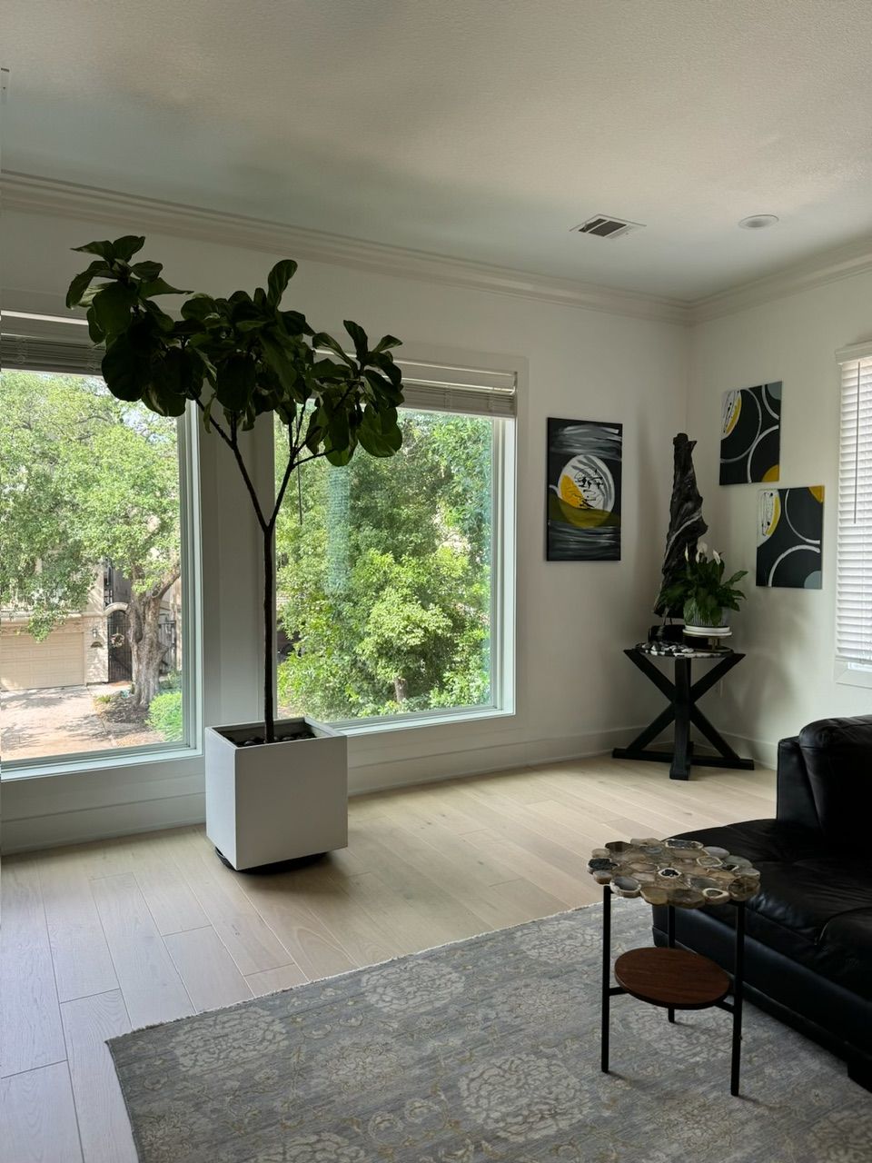 Living room with large plant by window, artwork, black table, and leather sofa.