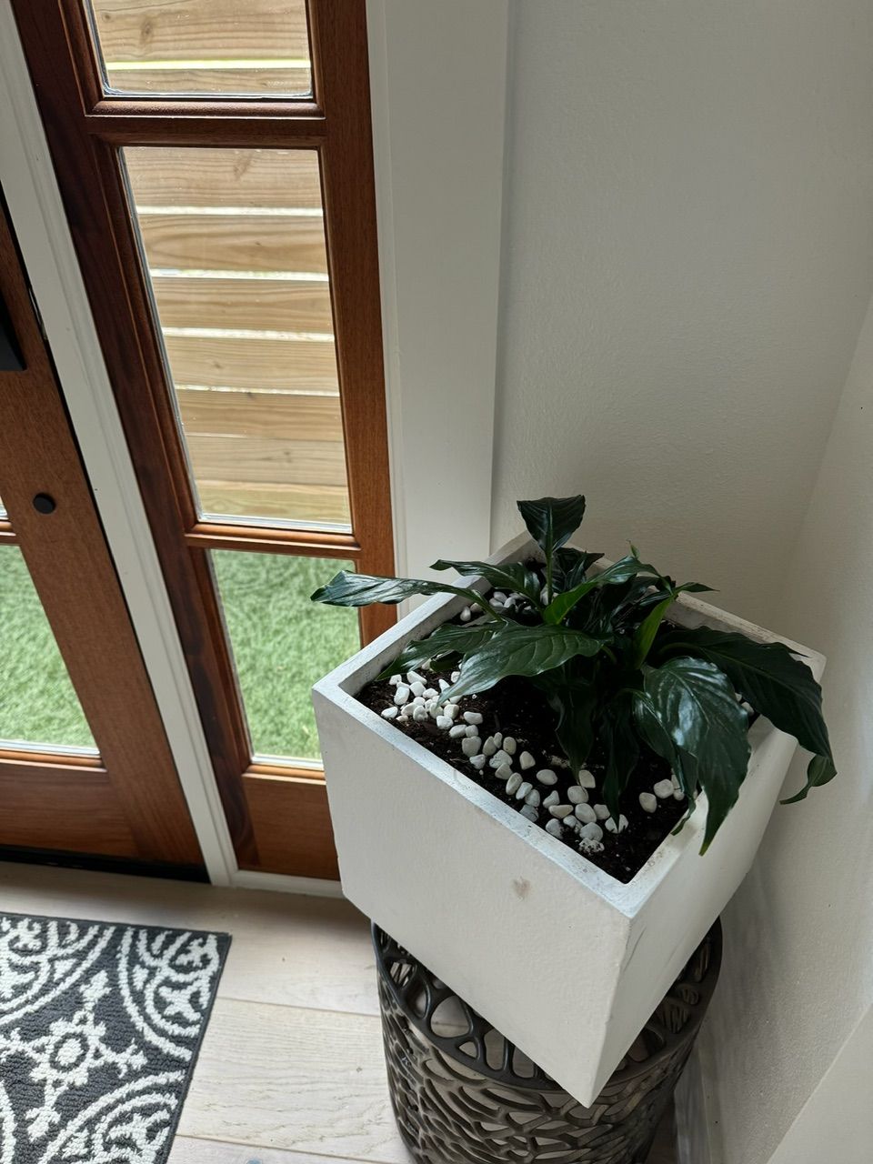 White planter with green plant, decorative white stones, on a wicker basket near a wooden door.
