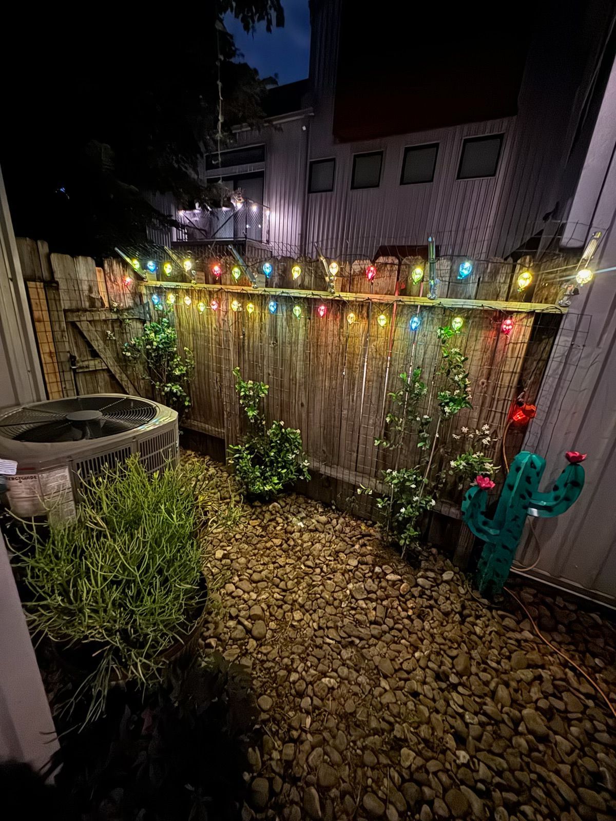 Nighttime outdoor space with string lights, gravel, plants, and a cactus decoration.