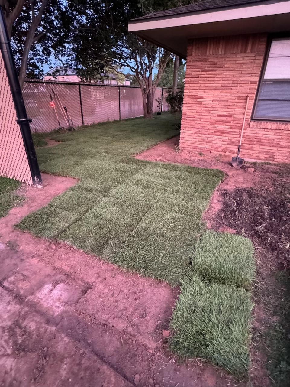 Newly laid sod in a yard, bordered by a brick building, fence, and concrete.