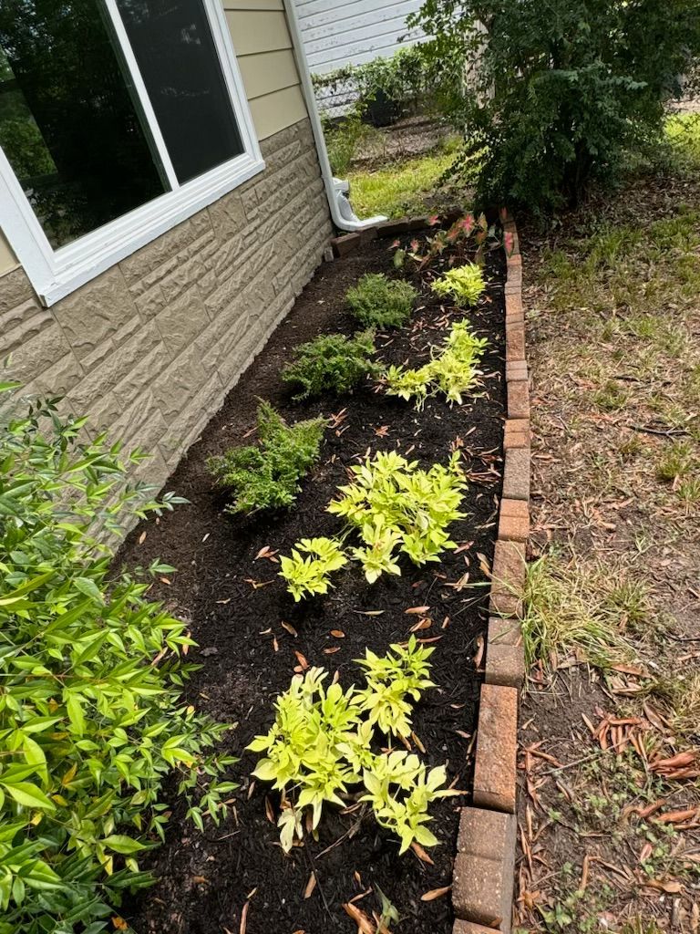 A garden bed along a house with various green and yellow plants, edged with brick.