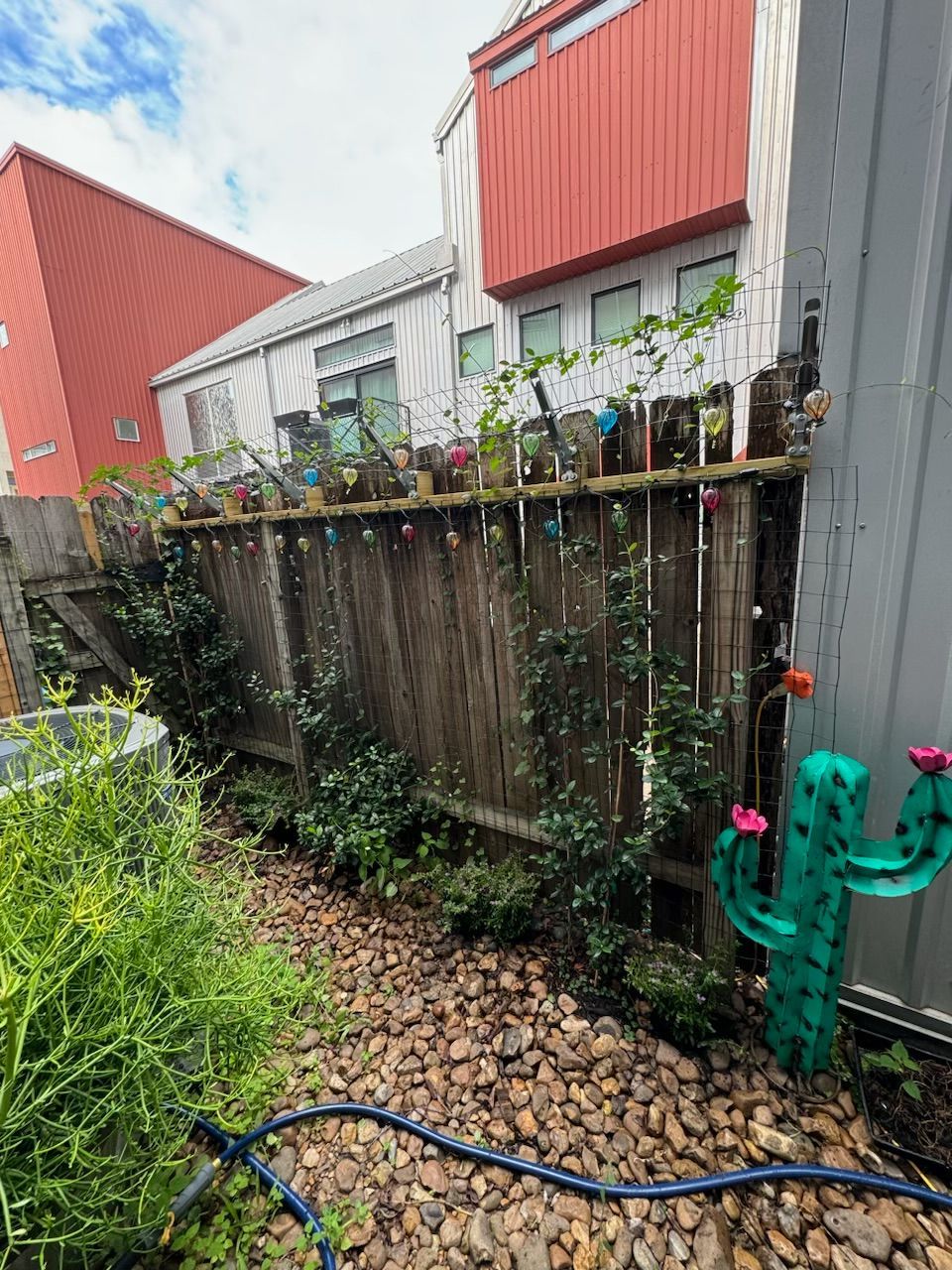 Backyard with wooden fence, plants, and decorative cactus statue. Brown gravel path and buildings in background.