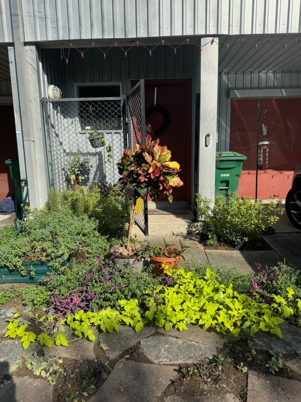 Entryway with garden. Red door, overflowing flower basket, green plants, stone path, green trash can.
