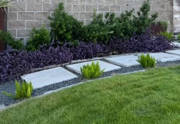A landscaped yard with a brick wall, stepping stones, purple ground cover, green shrubs, and grass.