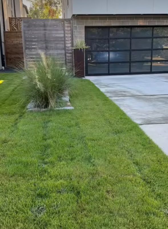 Green lawn with ornamental grass in front of a modern garage with glass panels.