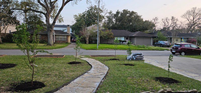 Stone path curving through a suburban front yard. Small trees are planted in mulched circles in the lawn. Houses and cars are visible.
