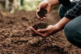 Hands holding rich soil over a field, planting seeds in the dirt