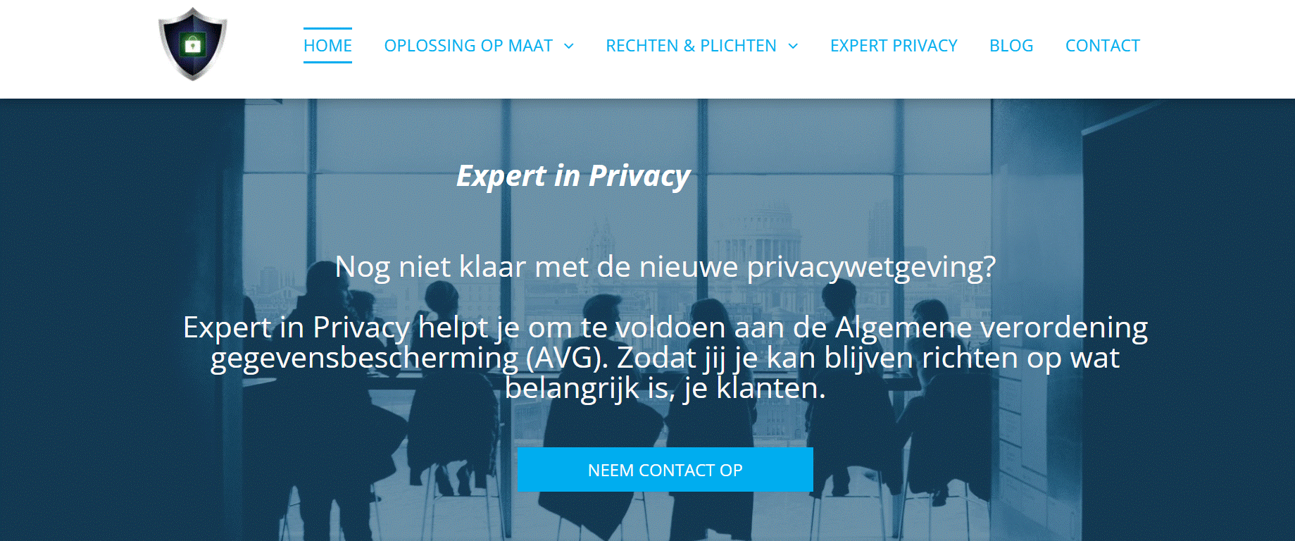 Een screenshot van een website voor dekkers infra