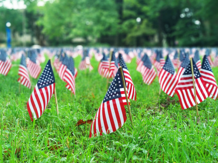 A field of small american flags in the grass.