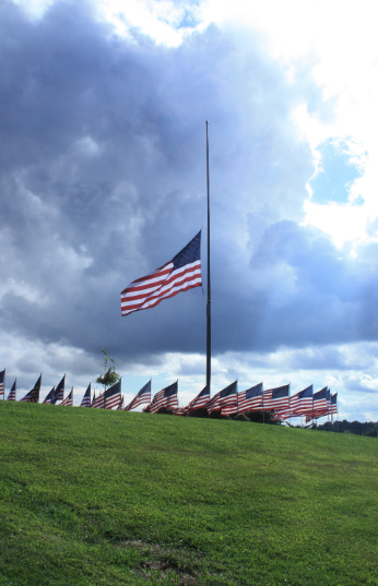 A row of american flags are lined up on top of a grassy hill