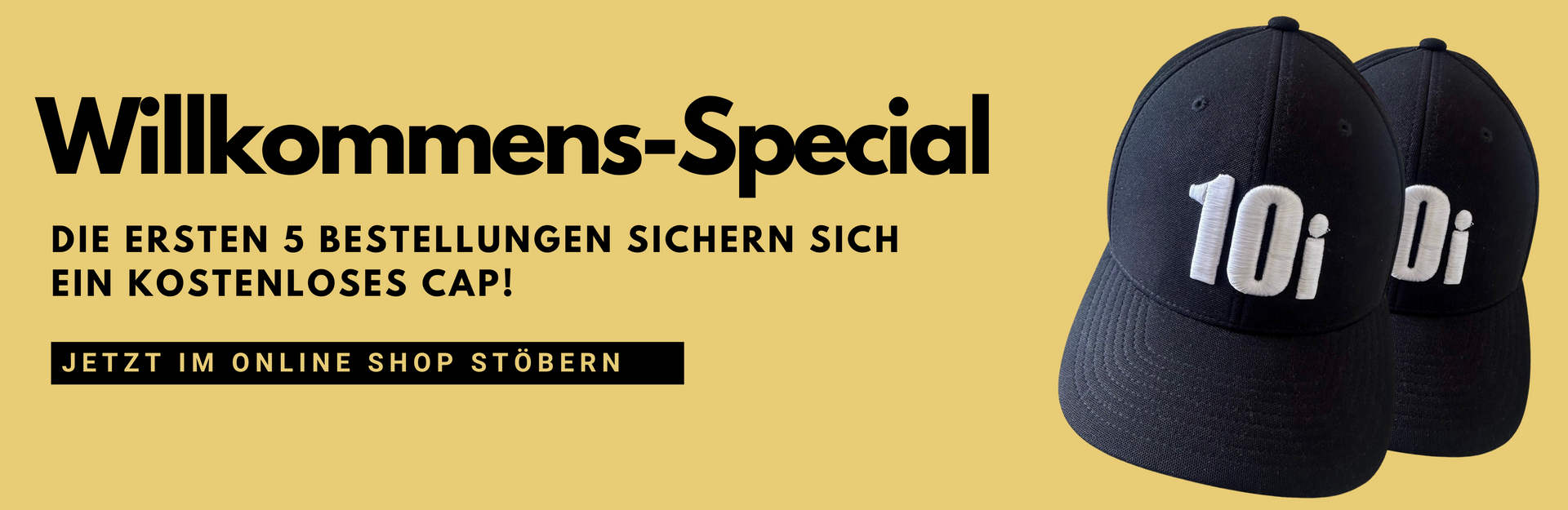 Schwingerschuh.ch