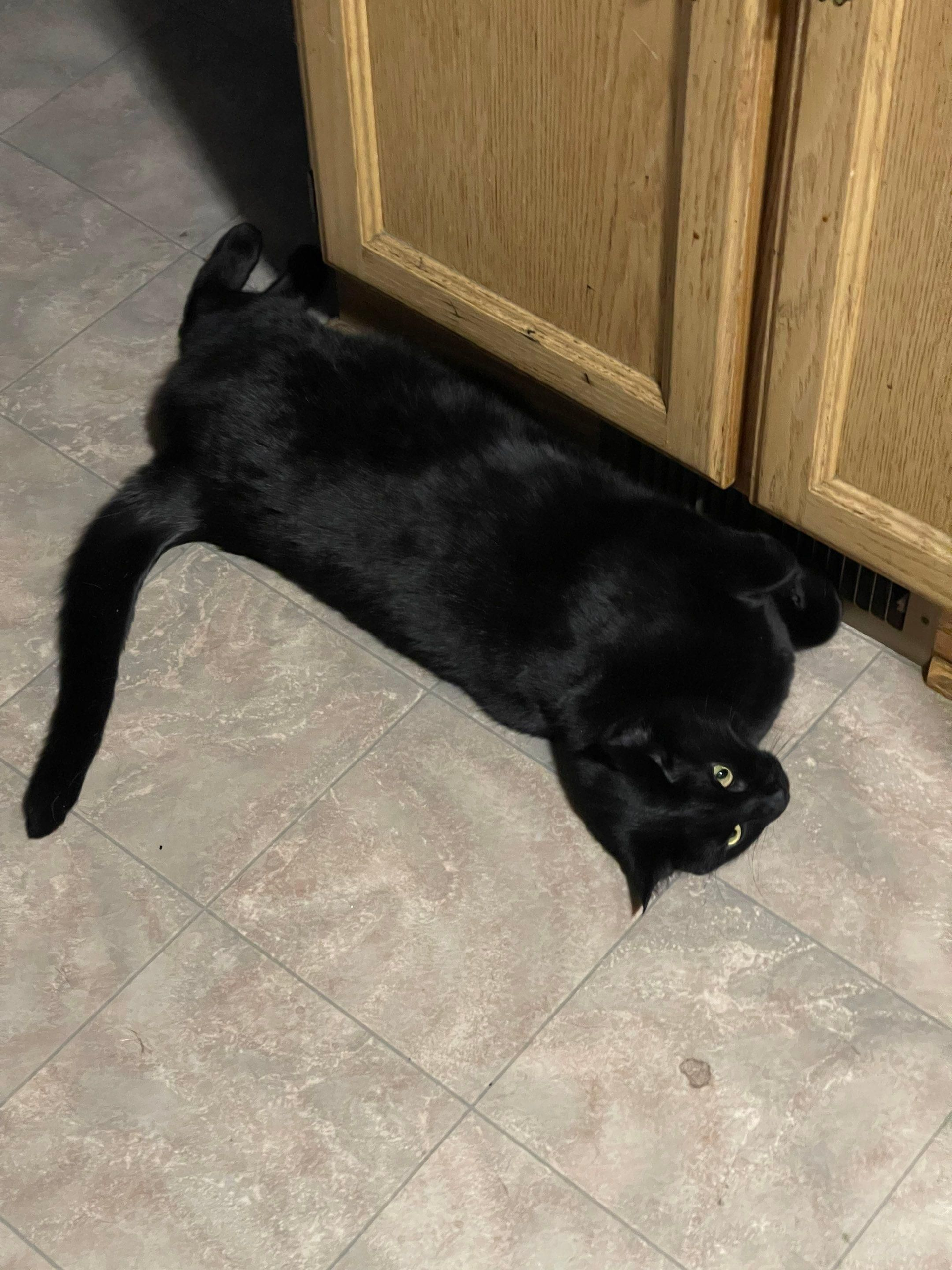 Black cat lying stretched out on a tiled floor beside wooden cabinets.