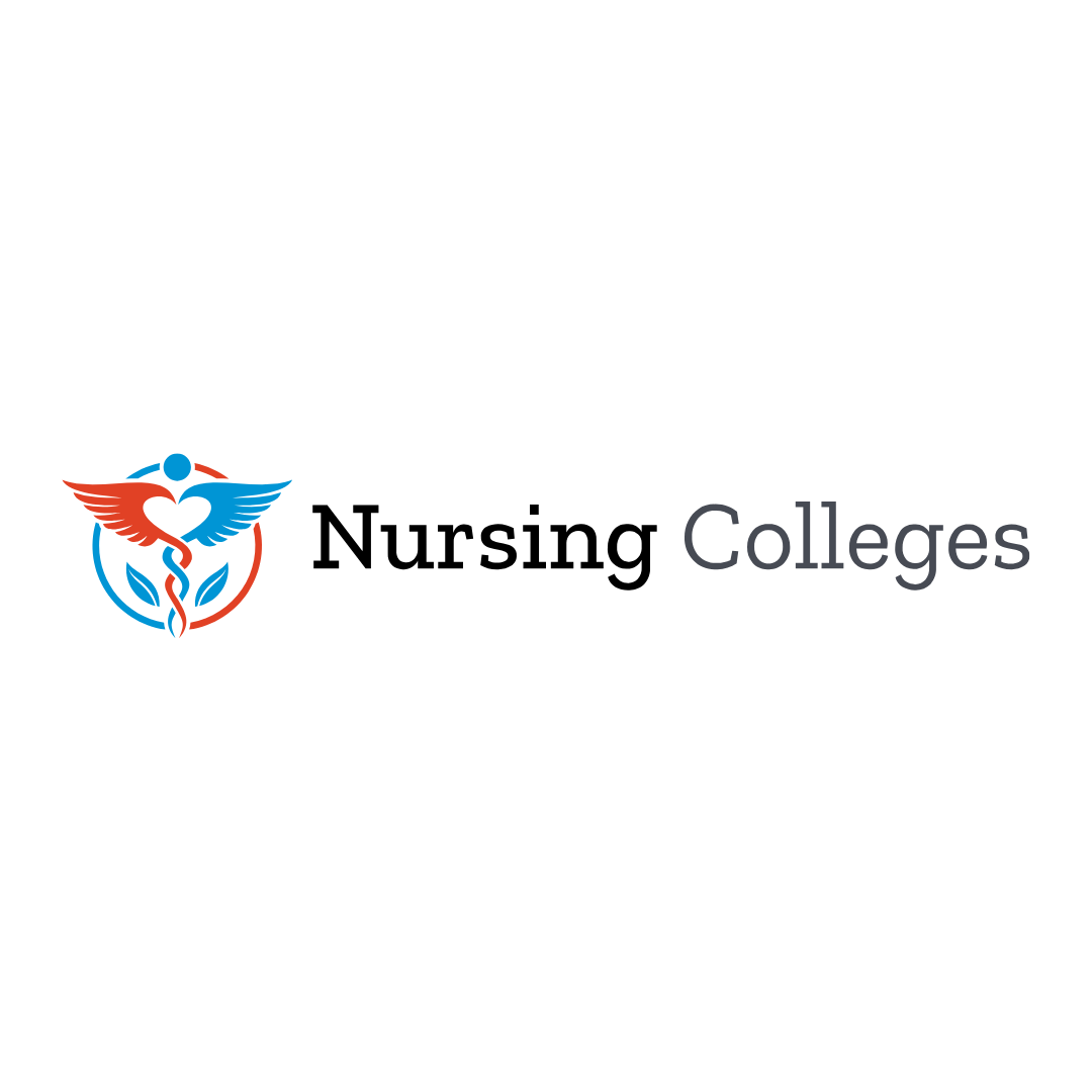 Logo for Nursing Colleges: stylized caduceus with heart, wings, and text
