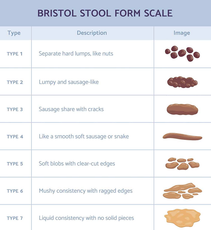 Illustration of the Bristol Stool Form Scale, showing seven stool types with descriptions