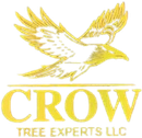 Tree Service in Bakersfield, CA | Crow Tree Experts LLC