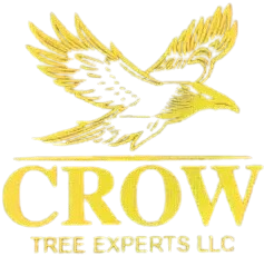 Tree Service in Bakersfield, CA | Crow Tree Experts LLC