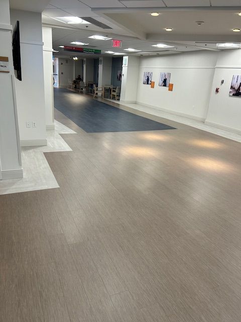 Empty office hallway with beige carpet, white walls, framed photos, and blue-gray walkway under ceiling lights