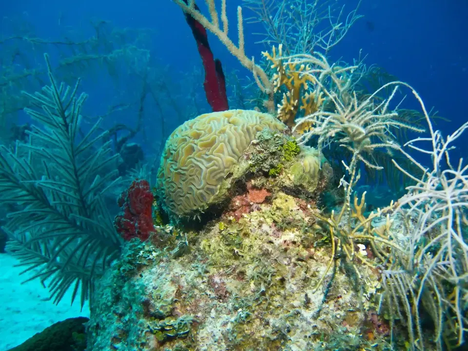 Mar turquesa de San Andrés visto desde arriba, uno de los lugares para visitar en la isla y referencia natural al recorrer San Andrés hospedándose en Hotel Delamar.