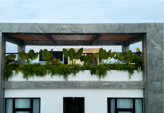 rooftop en delamar